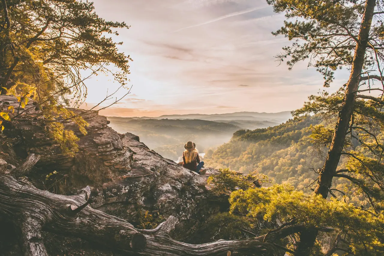 Golden morning light over misty mountains and forest